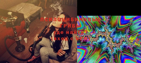 молекула духа Саяногорск